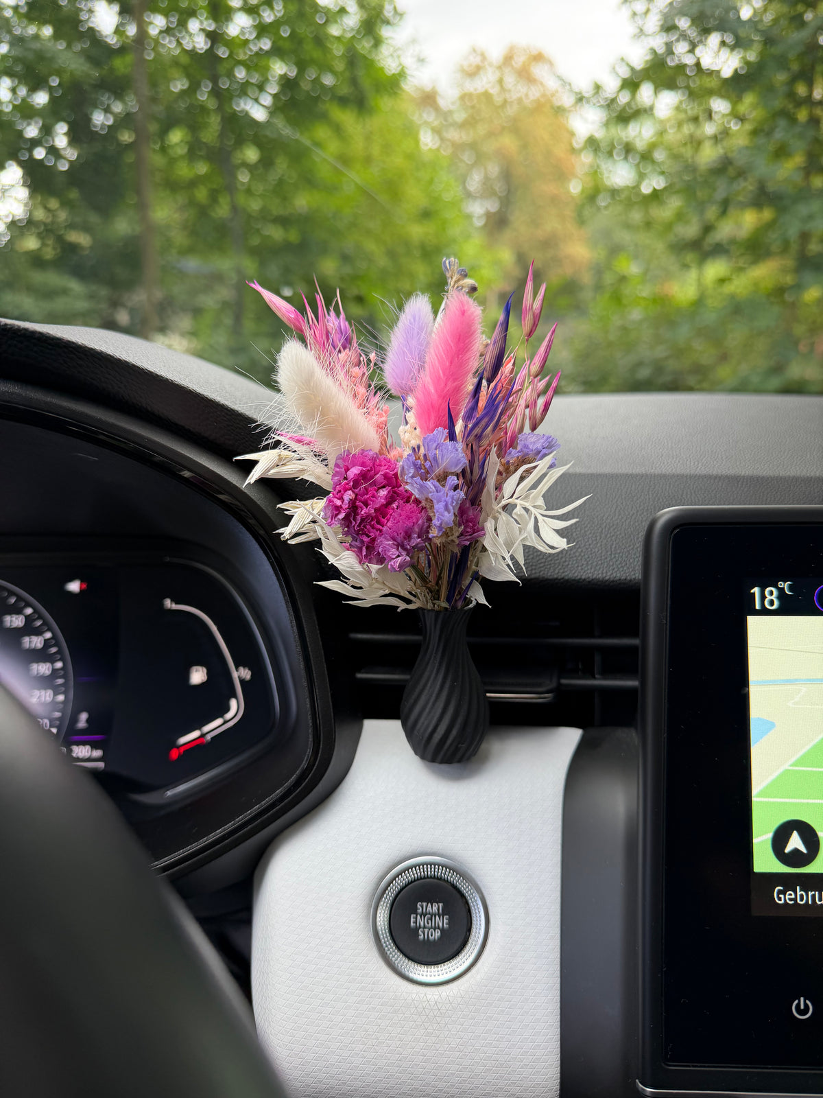Auto vaasje & droogbloemen