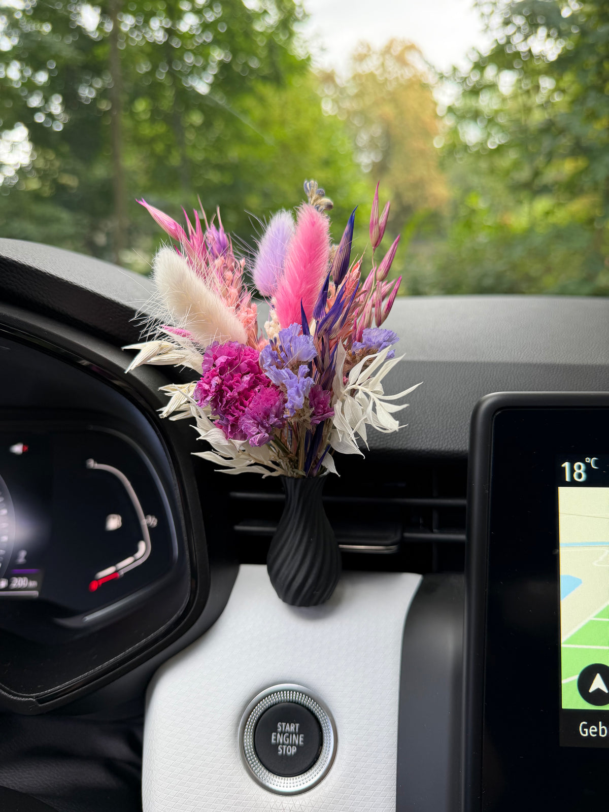 Auto vaasje & droogbloemen