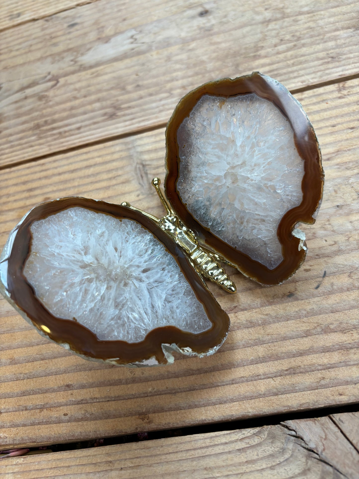 Vlinder van agaat oranje 1