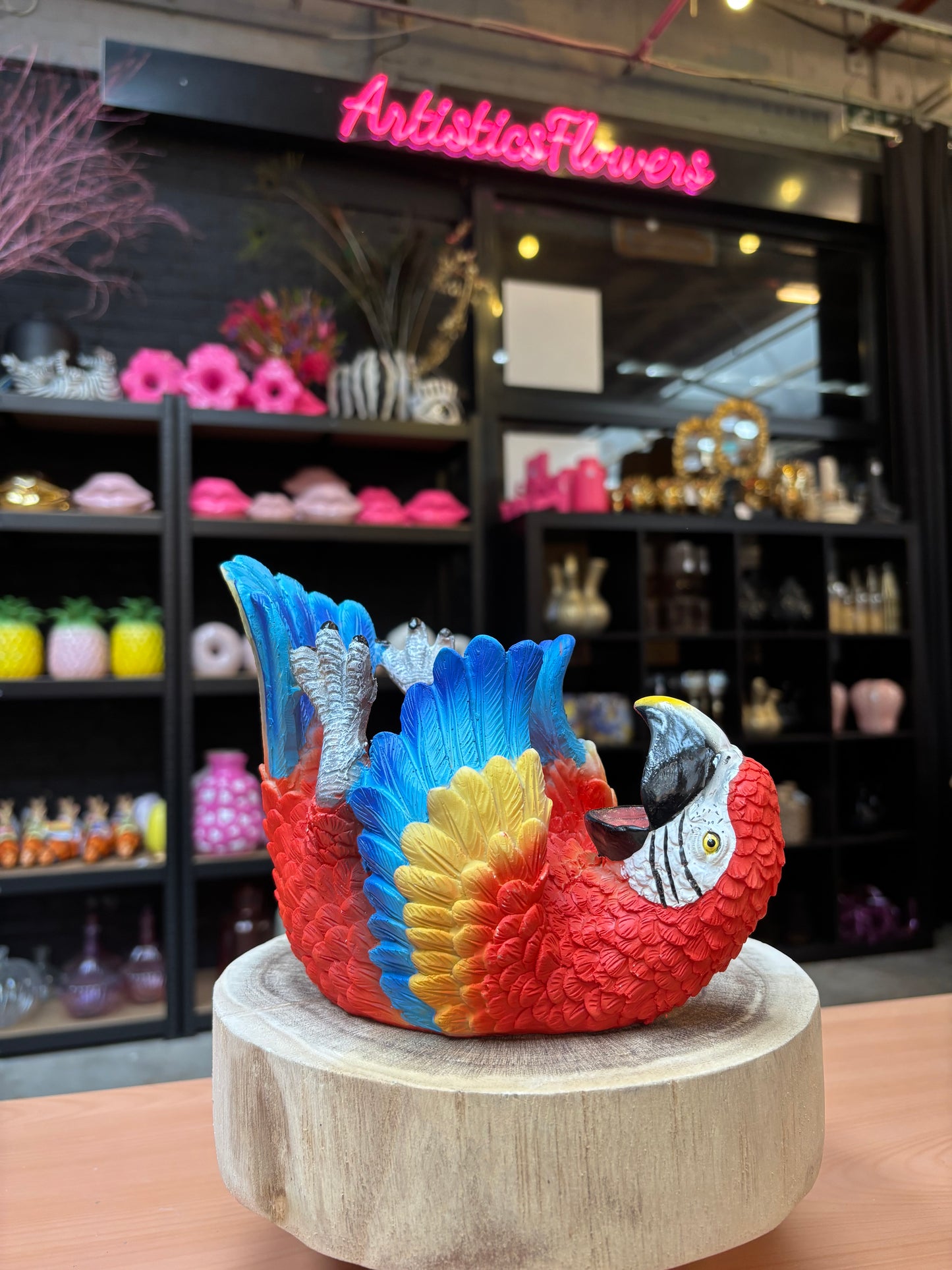 HB dorstige papegaai